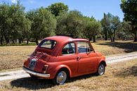 Fiat 500 in olive grove (2) by Jolanda van Eek en Ron de Jong thumbnail