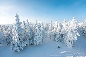 Winterlandschaft mit verschneiten Bäumen von Leo Schindzielorz