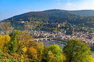 Heidelberg aan de rivier de Neckar tijdens een mooie herfstdag van Sjoerd van der Wal Fotografie thumbnail