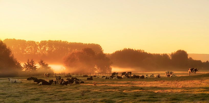 Zonsopkomst in Zuid-Limburg van John Kreukniet