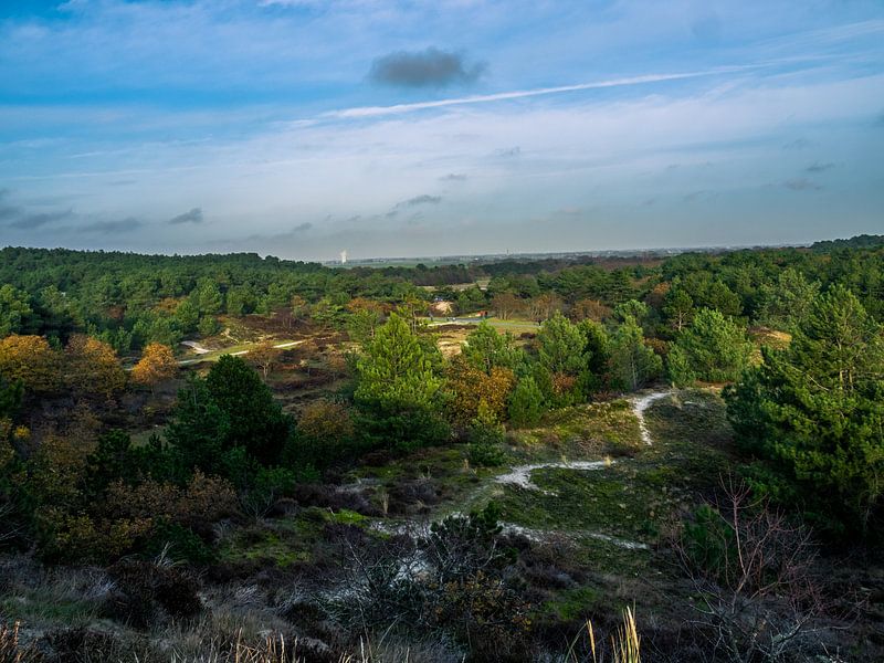 Overview schoorl forest by Martijn Tilroe