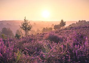 Lever de soleil sur la Posbank