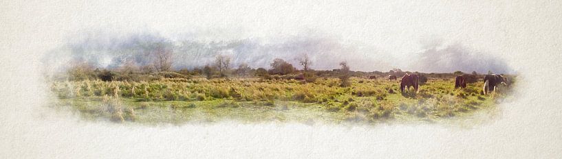 Shetlandpony in freier Wildbahn in Aquarell von Youri Mahieu