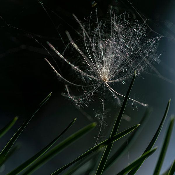 Almost Gone by the Wind. Bedroom. by Alie Ekkelenkamp