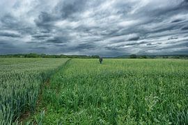 a man with a scythe by Jo Beerens