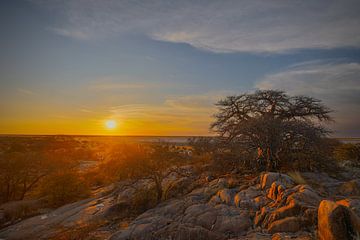 Blick über die Salzebenen auf Kubu Island Botswana II