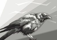 Eagle Gray