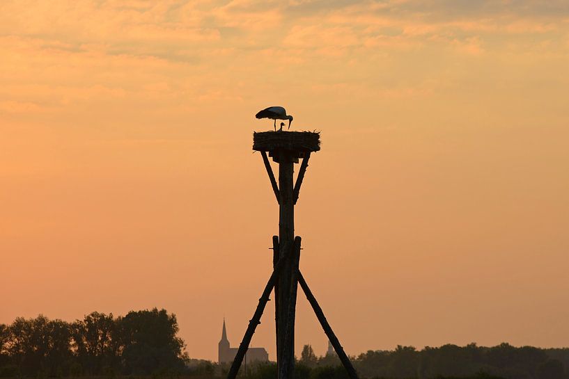 Storch auf Ihr Nest von Barbara Brolsma