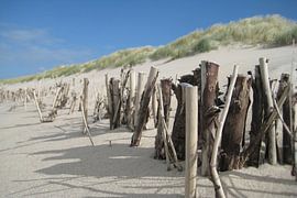 Structuur en schaduwvorming op de duinrug van Theodor Decker