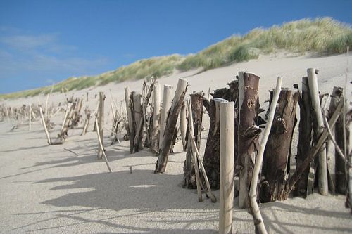 Struktur und Schattenwurf am Dünenkamm von Theodor Decker