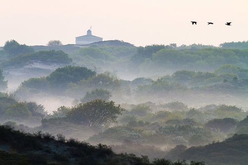 Aalscholvers boven duinen met mist met de watertoren van Katwijk