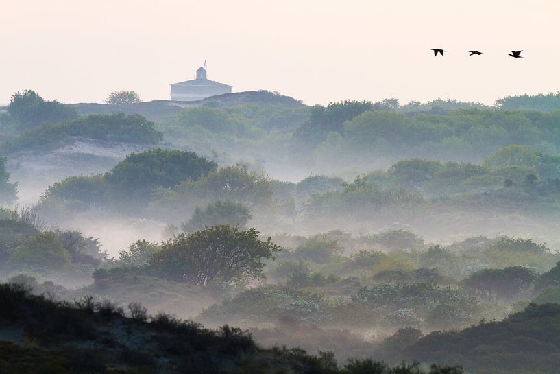 Kormorane über Dünen mit Nebel mit dem Wasserturm von Katwijk von Menno van Duijn