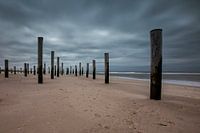 Palendorp Petten