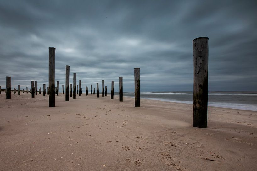 Palendorp Petten von Marieke Borst