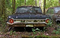 Ford Galaxie - Old Car City, Georgia USA by Willem van Holten thumbnail