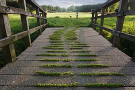 On the other hand... by Mies Heerma