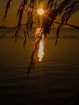 Gouden zonsondergang