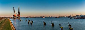 Sleipnir - grootste kraanschip ter wereld in Rotterdam Panoramafoto bijzonsondergang