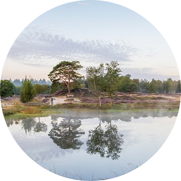 Reflectie in de bosvijver op landgoed Heidestein van Peter Haastrecht, van