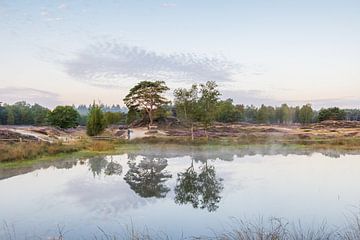 Reflectie in de bosvijver op landgoed Heidestein van Peter Haastrecht, van