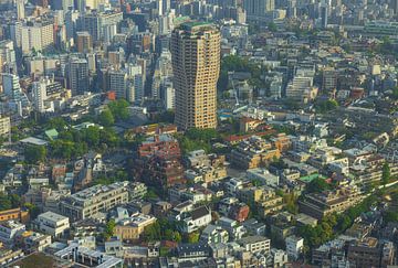 Tokio Stadsgezicht (Japan) van Marcel Kerdijk