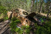 Oldtimer im Sumpf