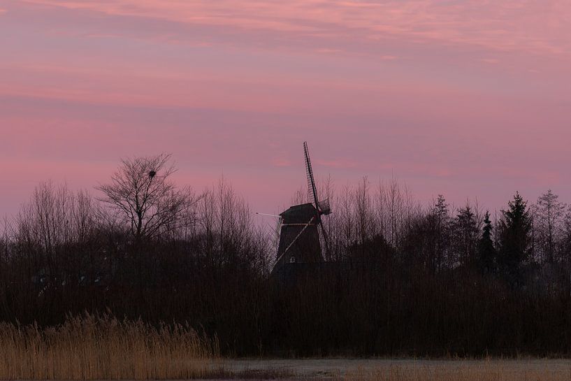 the mill of Vorden by Tania Perneel