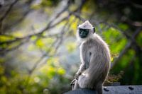 What are you looking at?