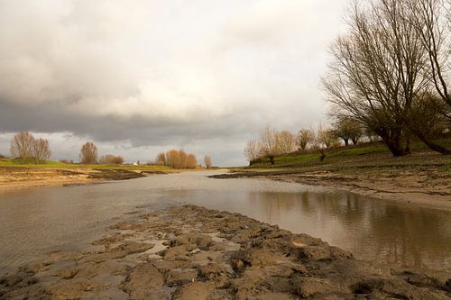 uitzicht op de uiterwaarde