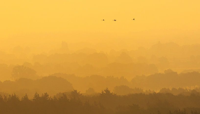 Geese over the Lemelerberg by peter reinders