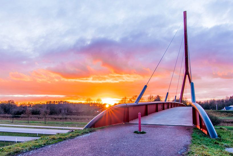 The Red Carpet by Johan Mooibroek