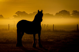Guten Morgen von Rob Oude Lashof