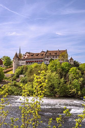 CURIOSITÉS : SUISSE - CHUTES DU RHIN - CHÂTEAU LAUFEN