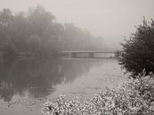 Foggy Morning by Lena Weisbek thumbnail