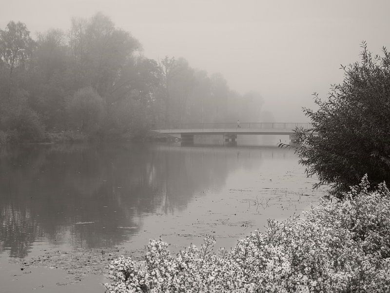 Foggy Morning by Lena Weisbek