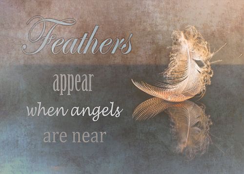 Feather and quote