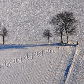 Paysage d'hiver sur Pieter Veninga