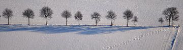 Winterlandschap van Pieter Veninga