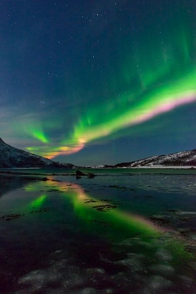 Poollicht of Noorderlicht in de nacht boven Noord-Noorwegen van Sjoerd van der Wal