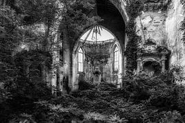 Überwachsene Kirche 2 von Kirsten Scholten