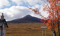 Corrour Schottland