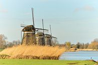 Drie molens van Rosenthal fotografie thumbnail