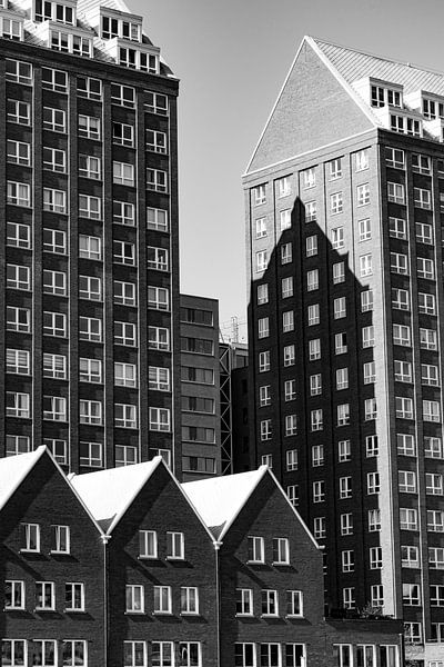 Kop van Zuid by Trinity Fotografie