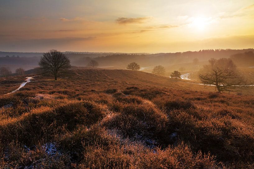 Posbank sunrise by Dennis van de Water