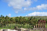 Paaseiland Moai van Astrid Brenninkmeijer thumbnail