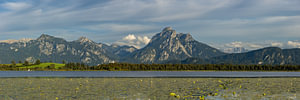 ein Sommertag am Hopfensee