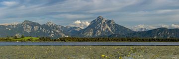 Een zomerse dag aan de Hopfensee van Walter G. Allgöwer