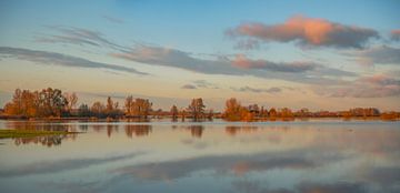 Overstroming van de IJssel met hoge waterstand in de uiterwaarden van Sjoerd van der Wal Fotografie