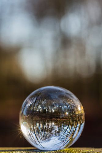 Door een glazen bal #3