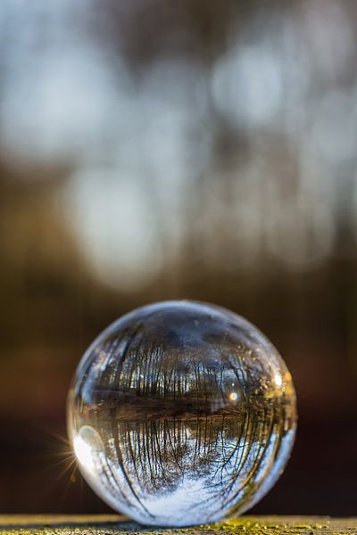 Door een glazen bal #3 van Robert Wiggers